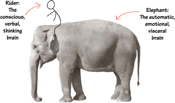 elephants-and-neuroscience